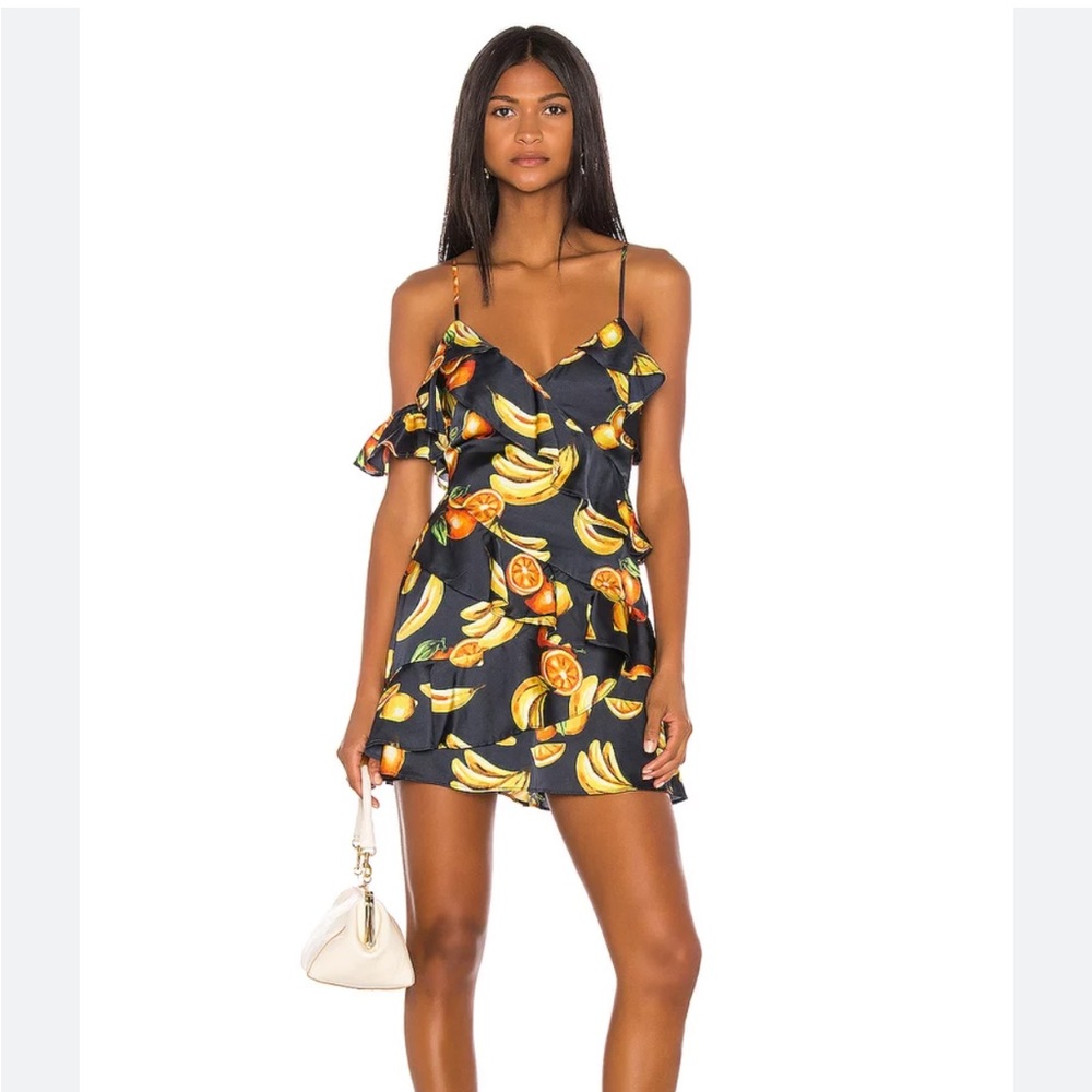 Song of Style Fruit Dress